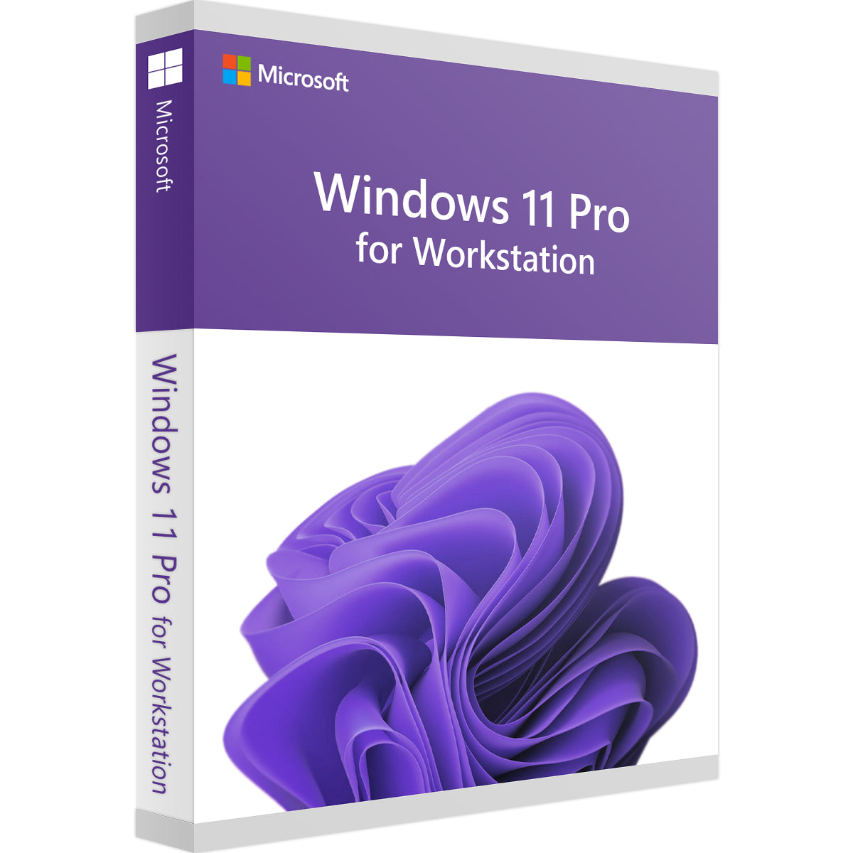 Windows 11 Pro for Workstation | für PC