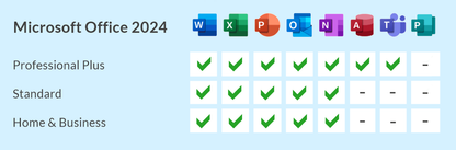 Microsoft Office 2024 Standard | für Windows